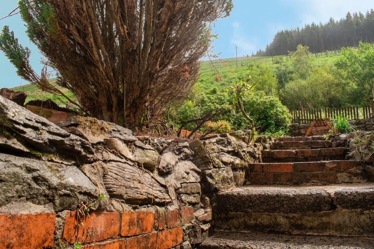 Afan Valley Home - Contractor Accommodation Port Talbot Exterior foto